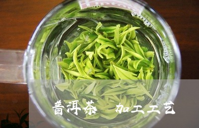 普洱茶 加工工艺/2023041081547